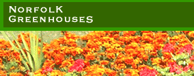 Norfolk Greenhouses